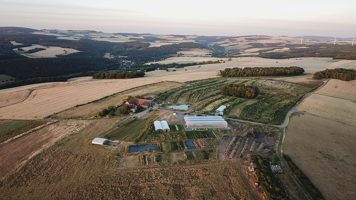 Hof | Humusland – Luftaufnahme Luftaufnahme des Humusland-Hofs in der Nordpfalz mit Feldern, Gewächshäusern und Agroforst